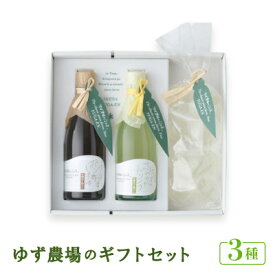 【ふるさと納税】ゆず農場のギフトセット [DPF8]　【池田柚華園】【1517316】