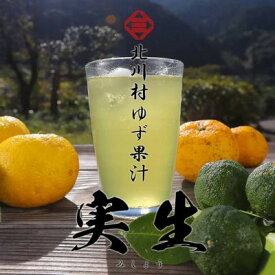 【ふるさと納税】北川村ゆず果汁「実生」300ml×3本【配送不可地域：離島】【1704222】