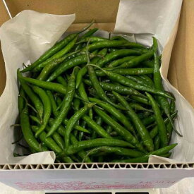 【ふるさと納税】【冷凍】北川村の青唐辛子1kg(2026年産)【配送不可地域：離島】【1776144】