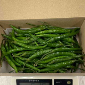 【ふるさと納税】【冷凍】北川村の青唐辛子500g(2026年産)【配送不可地域：離島】【1776146】