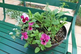 【ふるさと納税】北川村「モネの庭」から季節の寄せ鉢(小)