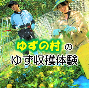yӂ邳Ɣ[Łz䂸̑nHł䂸n&䂸ڂ̌ yYt Mq cɑ̌ m nH y548z