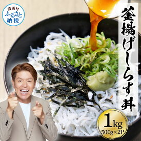 【ふるさと納税】高知県産釜揚げしらす500g×2パック 1kg 1キロ 簡易梱包 シラス 小分け 国産 釜揚げ しらす丼 海鮮丼 お茶漬け ごはん 軍艦巻き 手巻き寿司 ご飯 雑炊 冷奴 おにぎり 冷凍配送 おかず おつまみ お取り寄せ 高知県 ふるさとのうぜい 故郷納税 返礼品 8000円