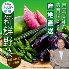 【ふるさと納税】【先行予約】野菜 朝採れ 野菜詰め合わせ 朝獲れ セット 芸西村で採れた新鮮な野菜6～8種類 野菜 詰め合わせ お試し 新鮮 食べ比べ 特産品 ピーマン 環境 ナス 旬 支援品 故郷納税 野菜セット 産地直送 5000円台 おすすめ（クラウドファンディング対象）