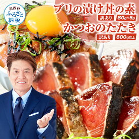 【ふるさと納税】「ブリの漬け丼の素」【1食80g×5P】「訳ありカツオのたたき」【600g以上】海鮮 漬け 漬け丼 素 鰤 ぶり カツオのたたき たたき かつお 鰹 刺身 緊急支援 セット 人気 惣菜 美味しい 冷凍配送 食品 高知県 故郷納税 13000円【koyofr】〈高知市共通返礼品〉
