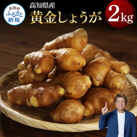 【ふるさと納税】高知県産黄金しょうが2kg しょうが ショウガ 生姜 坂田信夫商店 黄金しょうが 高知 国産 生姜 生姜焼き しょうが湯 ふるさとのうぜい 故郷納税 返礼品 高知県産 12000円