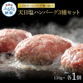 【ふるさと納税】食べ比べ！天日塩ハンバーグ3種セット各1個(110g×3種) 合計3個 ハンバーグ 黒毛和牛 美鮮豚 天然塩 天日塩 デミグラスソース 和風ソース ソース付き 牛肉 豚肉 温めるだけ 冷凍 配送 国産 故郷納税 9000円 おいしい