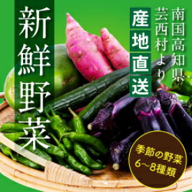 【ふるさと納税】【先行予約】野菜 朝採れ 野菜詰め合わせ 5000円 朝獲れ セット 芸西村の新鮮野菜6～8種類 野菜 詰め合わせ お試し 新鮮 食べ比べ 特産品 ピーマン 環境 ナス 旬 支援品 故郷納税 野菜セット 産地直送 こだわり栽培 環境に優しい ランキング 人気