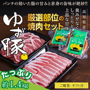 yӂ邳Ɣ[Łzym̃uh/䂸؁zIʂ̏ēZbgi1.4kgjēp [X500g o500g \[Z[W5{×2P  BBQ ₫ɂ Ă \[Z[W ؓ Y lߍ