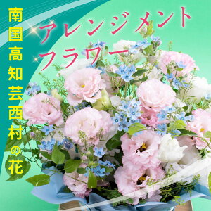 yӂ邳Ɣ[Łz s\ |̂ԂgAWgij ̋[ 2~^hCcIPM ESSEN 2011ۉ|{s̕i]؂ԕŗDG܂܂gu[X^[hȂǂ