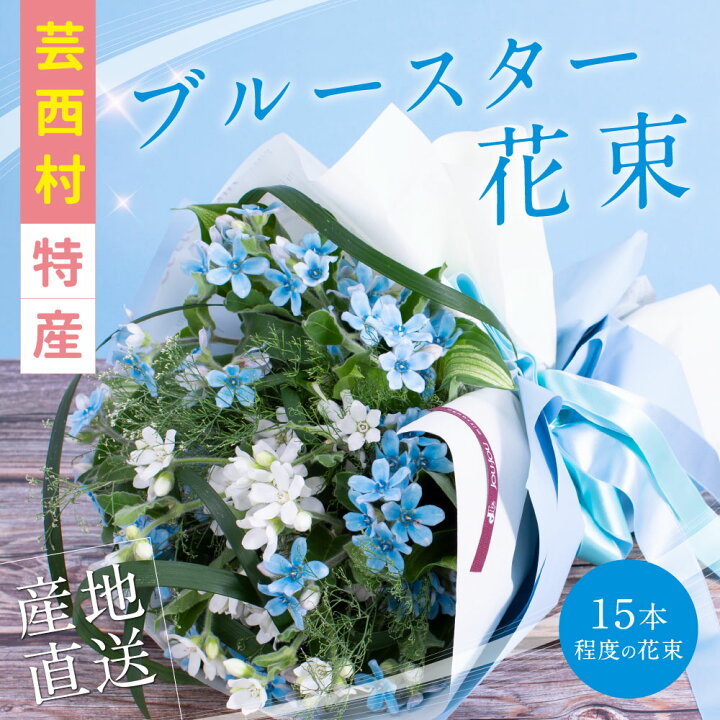 楽天市場 ふるさと納税 芸西村特産ブルースター花束 約15本程度の花束 高知県芸西村産で世界一にも輝いたブルースター ピュアブルー を生産地よりお届け 花言葉は 幸福な愛 信じあう心 大切な方への贈り物としても 高知県芸西村
