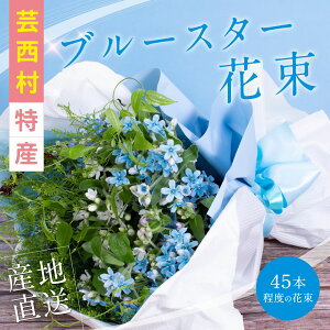 生花 ブルースター 花束の人気商品 通販 価格比較 価格 Com