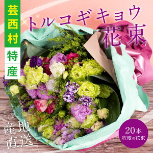 花束 本 生花の人気商品 通販 価格比較 価格 Com