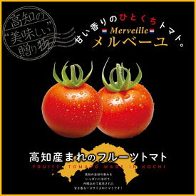 【ふるさと納税】 高知産フルーツトマト「メルベーユ」 約1.5kg 糖度9度以上！【s-kensyo】数量限定 期間限定 故郷納税 高糖度 野菜 とまと 甘さ コロナ 支援品