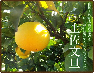 アイテムID:606370の画像1枚目