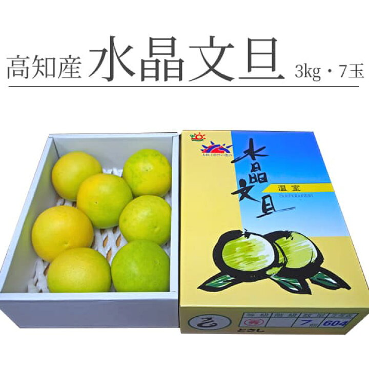 楽天市場】【ふるさと納税】数量限定 高知産 水晶文旦3kg・5～7玉入 