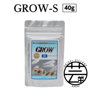 yӂ邳Ɣ[Łz GROW S 40g Ӊtp ̋[ 4000~ ō tBbVt[h EPAEDHAz pE_[^Cv  aya  GTzyϏ܋ azy/Mы/Ϗ܋/zy