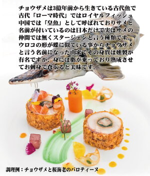 楽天_キャビア_05