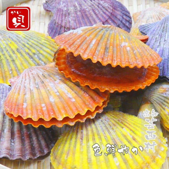 楽天市場 ふるさと納税 海鮮 レンジでチン する長太郎貝 10枚入り 故郷納税 Koyofr ヒオウギ アッパ アッパガイ バタ バタガイ ニシキガイ ホタテガイ Geiseiymt 高知市共通返礼品 高知県芸西村