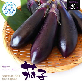 【ふるさと納税】茄子（1本約70g）約20本入り 高知県産 芸西村 ナス なす 野菜 新鮮 お取り寄せ 美味しい 煮浸し 味噌汁 麻婆茄子 夏野菜 秋野菜 料理 ふるさとのうぜい 故郷納税 7000円 返礼品 高知県 高知 ランキング 人気 故郷納税 ランキンング