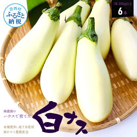 【ふるさと納税】白ナス6本 なす 茄子 1本180g以上 野菜 新鮮 美味しい グラタン シチュー ラタトゥイユ 洋食 和食 料理 お取り寄せ ふるさとのうぜい 故郷納税 6000円 返礼品 高知県 高知 ランキング 人気 故郷納税 ランキンング ふるさと納税制度 おすすめ