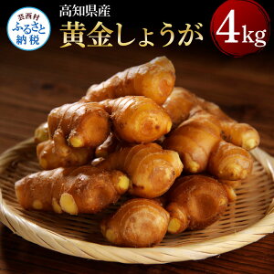 yӂ邳Ɣ[ŁzmY傤4kg 傤 VEK I cMvX 傤 m Y IĂ 傤 ӂ邳Ƃ̂ ̋[ 15000~ ԗi mY
