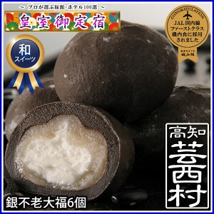 【ふるさと納税】銀不老大福6個スイーツお菓子和菓子和スイーツ【SaNeYam】