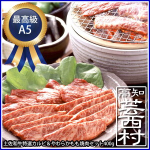 【ふるさと納税】【新着】土佐和牛特選カルビ&やわらかもも焼肉セット