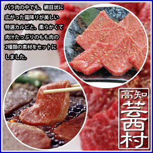 【ふるさと納税】【新着】土佐和牛特選カルビ&やわらかもも焼肉セット