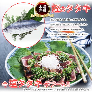 【ふるさと納税】【新着】土佐の高知のカツオとうつぼタタキセット