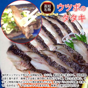 【ふるさと納税】【新着】土佐の高知のカツオとうつぼタタキセット