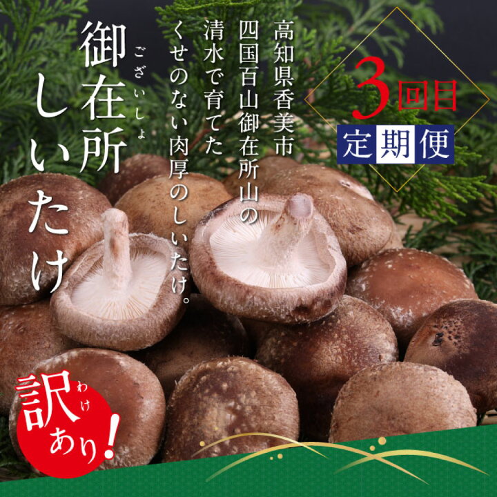 楽天市場】【ふるさと納税】土佐味堪能香美市コラボ4ヶ月定期便 かつお 