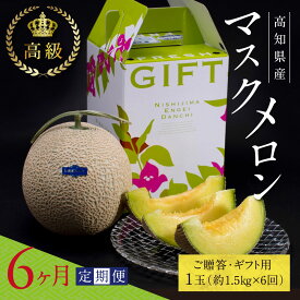 【ふるさと納税】 《6ヶ月定期便》故郷納税 高知県産 高級マスクメロン（ご贈答・ギフト用）1玉入 【発送期間：4月〜12月（9カ月）】【1月〜3月は気候温度不安定の為出荷不可となります。】〈南国市共通返礼品〉 60000円 ギフト フルーツ 果物 贈答 ランキング おすすめ 人気