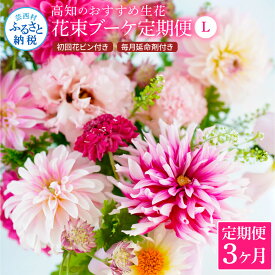 【ふるさと納税】 《3ヵ月定期便》生花花束 ブーケ 初回花瓶付L 定期便 定期コース 全3回 初回花瓶付き 延命剤付き 花びん 生花 花束 ブーケ 花 お花 おすすめ 可愛い キレイ おしゃれ 季節のお花 ふるさとのうぜい 故郷納税 75000円 高知県 高知 返礼品