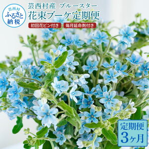yӂ邳Ɣ[Łz s3ցt u[X^[ ԑ ԕrt  R[X S3 ܕt bsO Ԃт  ԑ u[P    LC    