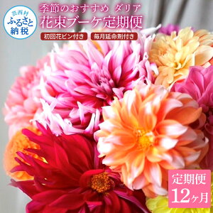 yӂ邳Ɣ[Łzs12ցt_A ԑ ԕrt  R[X S12 ܕt bsO Ԃт  ԑ u[P     LC   E 