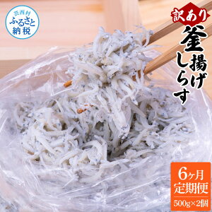yӂ邳Ɣ[Łz6ց󂠂 gVX 500g×2  R[X 6 炷 VX g VN T H 킯 P s 炷 CN Ђ 