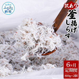 yӂ邳Ɣ[Łz6ց󂠂 gVX 800g×2  R[X 6 炷 VX g VN T H 킯 P s 炷 CN Ђ 