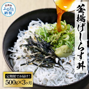 yӂ邳Ɣ[Łzs3ցtmYg炷500g  R[X 3 ȈՍ VX  Y g 炷 CN Ђ ͂ R͊  ɂ Ⓚz 