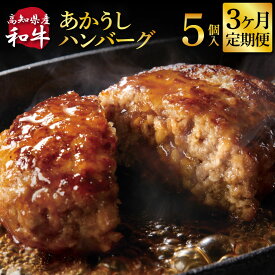 【ふるさと納税】 創業50年老舗レストランの幻の和牛あかうしハンバーグ130g×5ケ 3ヶ月定期便 土佐あかうし 美鮮豚 牛肉 高級 ハンバーグ 冷凍 おいしい 肉汁ハンバーグ 焼くだけ 小分け 個包装 高級 国産 定期便 定期コース 還暦祝い 男性 退職 プレゼント 父 ギフト