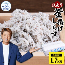 【ふるさと納税】しらす 1.7kg 訳あり 釜揚げしらす しらす干し 高知県産 ちりめんじゃこ 簡易梱包 ご飯のお供 ごはんのお供 離乳食 子供用 食べ物 お試し 訳アリ 大容量 わけあり 不揃い シラス 国産 釜揚げ 新鮮 鮮度 しらす丼 冷凍配送 ふりかけ 減塩 おかず 12000円