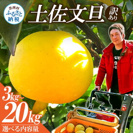 【ふるさと納税】【先行予約】訳あり 高知県産 土佐文旦 3kg 5kg 10kg 20kg 傷・シミ ありの訳アリ品 家庭用 サイズおまかせ 産地直送 フルーツ 果物 在庫限り 6,000円から 詰め合わせ 故郷納税 令和8年2月以降順次発送【s-kensyo】