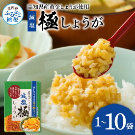 【ふるさと納税】減塩味付け極しょうが110g×1～10袋 減塩 しょうが ショウガ 生姜 生ふりかけ 坂田信夫商店 黄金しょうが 高知 国産 料理 おかず 調味料 ご飯のお供 混ぜご飯 刻み生姜 健康 話題 手軽 便利 ふるさとのうぜい 故郷納税 1000円から 返礼品 高知県産