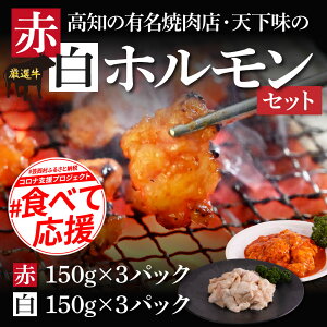 【ふるさと納税】赤ホルモン&白ホルモンセット 天下味オリジナル本格コチュジャン(150g×3パック)と本格塩ダレ漬け(150g×3パック) 人気 牛肉 お肉 小腸 焼き肉 タレ 焼肉 BBQ バーベキュー 冷