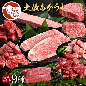 【ふるさと納税】土佐あか牛協会が認定する「土佐熟成あかうし」詰め合わせ9種（合計6.6kg）サイコロステーキ ロース カルビ スネ ヒレ シャトーブリアン サーロイン ブロック肉 特選 赤身 牛 牛肉 和牛 国産 天下味 エイジング工法 熟成肉 お取り寄せ 冷凍 配送 高知県