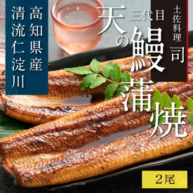 【ふるさと納税】“土佐料理司”三代目天の鰻蒲焼2尾セット「仁淀川」水系の地下水使用 完全無投薬養殖 国産・高知県産〈高知市共通返礼品〉うなぎ 真空パック (ウナギ・たれセット) コロナ 支援品 ギフト プレゼント 食べ物 健康 故郷納税 2万円台 お中元 御中元 のし