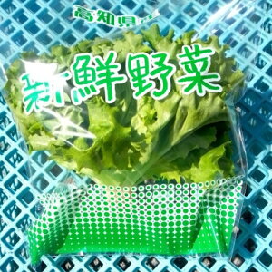 yӂ邳Ɣ[Łzy͔|Ԓ_sgpzl̂ǐ^񒆂ō͔|ꂽN[t^X@100g×8܃ZbgyzsnFzy1493186z