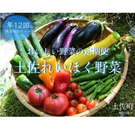 【ふるさと納税】土佐れいほく野菜（年12回）