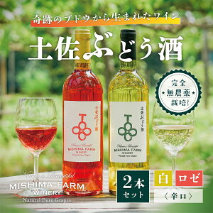 【ふるさと納税】土佐ぶどう酒2本セット(白・ロゼ)