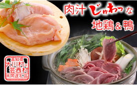 【ふるさと納税】【大川村と芸西村の共通返礼品】はちきん地鶏 むね肉 1kg＆土佐鴨 鴨鍋肉（2～3人前）セット 地鶏 ムネ肉 胸肉 鶏肉 鴨 鴨肉 かも肉 とり肉 とりにく 肉 高知県 大川村 F6R-013